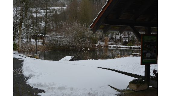 Vogelpflegestation in der Essenthoer Mühle (Foto: Kreis Paderborn)